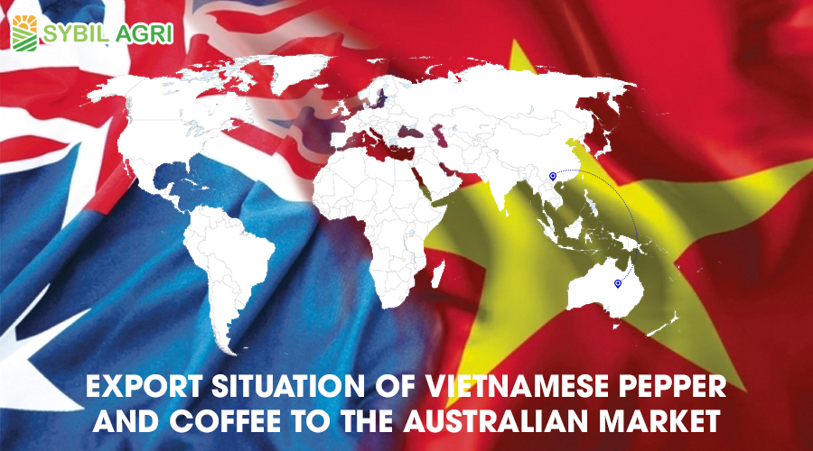 Export situation of Vietnamese pepper and coffee to the Australian market