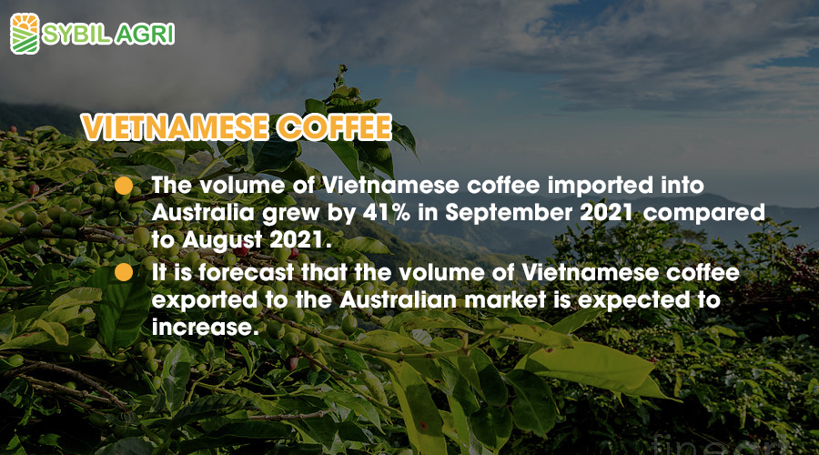 The volume of Vietnamese coffee imported into Australia grew by 41% in September 2021 compared to August 2021